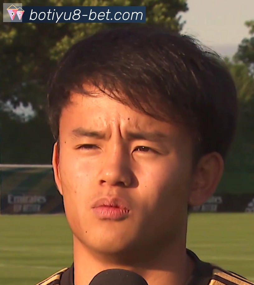 维尼修斯
